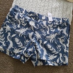 LOFT SHORTS